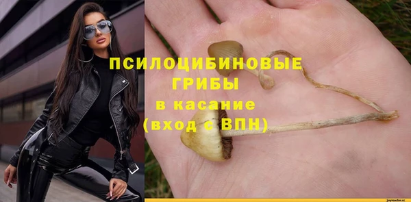 альфа пвп Надым