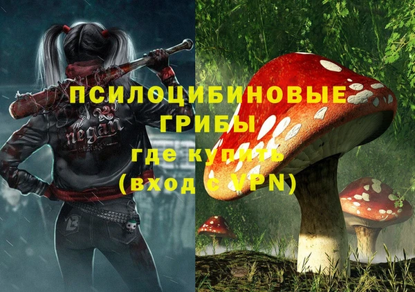 альфа пвп Надым